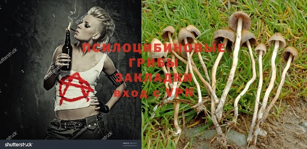 прущие крисы Горнозаводск