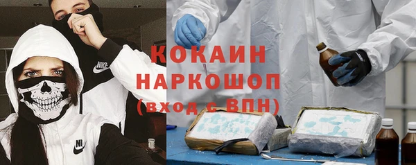 бошки Горняк