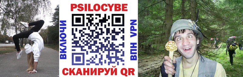 купить  сайты  Дегтярск  Псилоцибиновые грибы GOLDEN TEACHER 